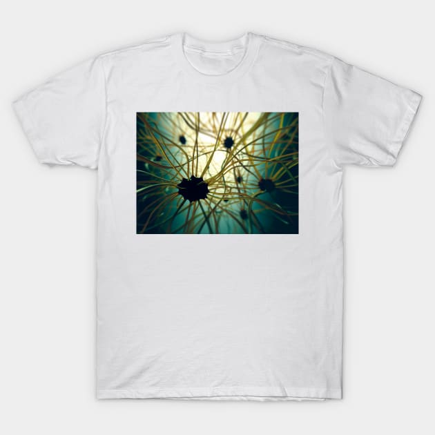 Human nerve cells, illustration (F012/8233) T-Shirt by SciencePhoto